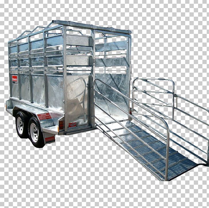 Cattle Ifor Williams Trailers Car Livestock PNG, Clipart, Automotive Exterior, Bicycle, Campervans, Car, Caravan Free PNG Download