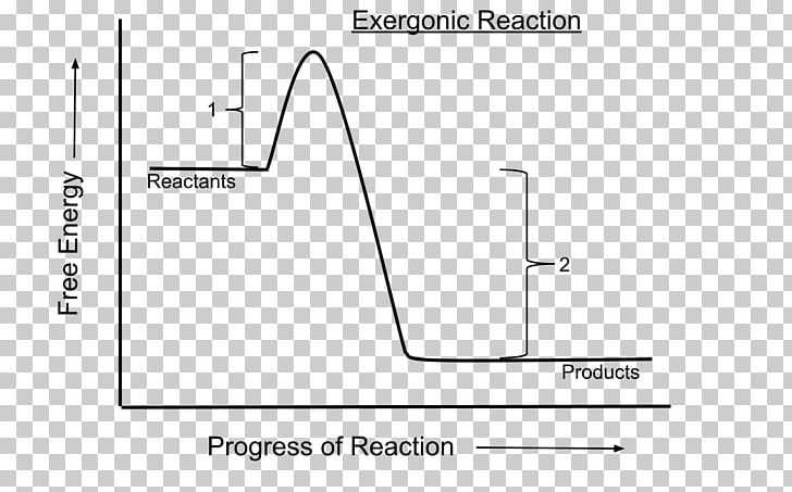 Exergonic Reaction Gibbs Free Energy Chemical Reaction Exergonic Process Endergonic Reaction PNG, Clipart, Angle, Area, Black And White, Catalysis, Chemical Reaction Free PNG Download