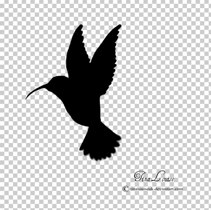 Hummingbird Silhouette PNG, Clipart, Animals, Art, Beak, Bird, Black And White Free PNG Download