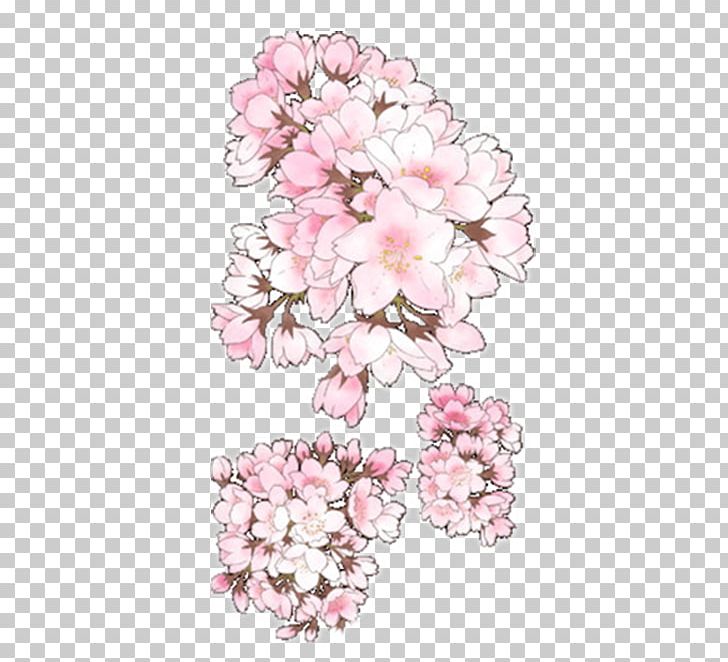 Jinhae Floral Design Cherry Blossom Drawing PNG, Clipart, Blossoms, Branch, Cherries, Cherry, Cherry Blossoms Free PNG Download