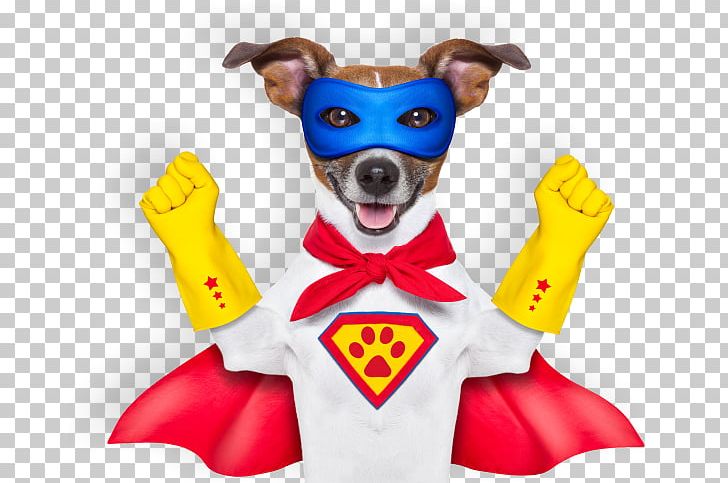 Dog Superhero Stock Photography PNG, Clipart, Carnivoran, Dog, Dog Breed, Dog Clothes, Dog Like Mammal Free PNG Download