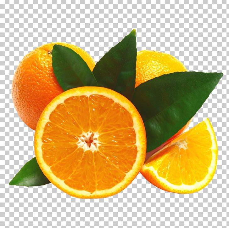 Mandarin Orange Citrus × Sinensis Vegetarian Cuisine Tangerine PNG, Clipart, Bitter Orange, Chenpi, Citric Acid, Citrus, Citrus Sinensis Free PNG Download