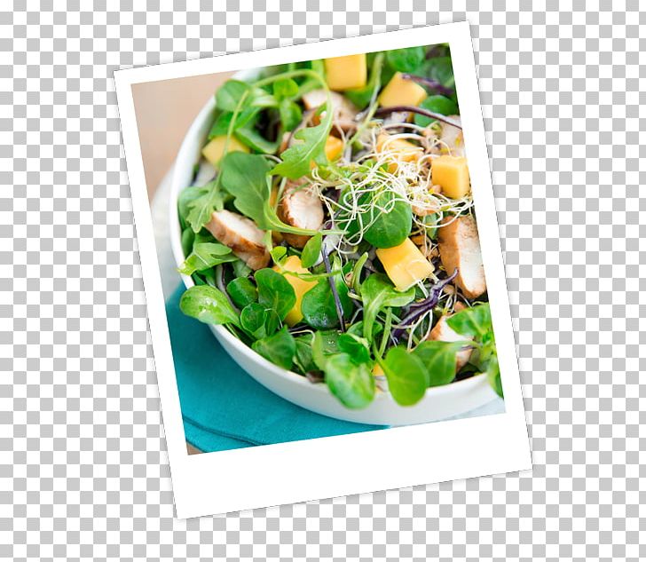 Salad Vegetarian Cuisine Vinaigrette Recipe Pesto PNG, Clipart, Apple Cider Vinegar, Arugula, Chard, Chicken As Food, Corn Salad Free PNG Download
