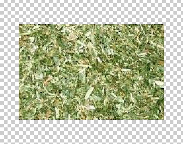 Chaff City Advertising Horse Gumtree PNG, Clipart, Advertising, Alfalfa, Chaff, Chaff City, City Free PNG Download