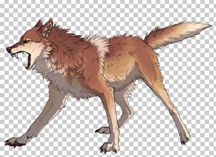 Coyote Dingo Dhole Red Fox Canis Ferox PNG, Clipart, Animal, Animals, Canidae, Canine, Canis Free PNG Download