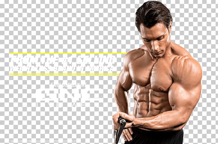 Dietary Supplement Bodybuilding Supplement Hydroxycut MuscleTech PNG