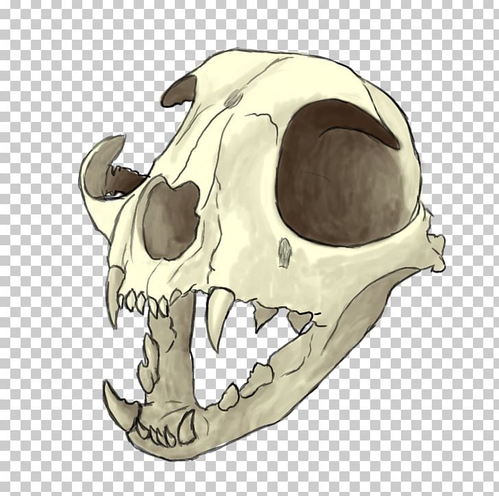 Skull Drawing Painting Skeleton Witchcraft PNG, Clipart, Art, Bone, Cat, Cat Skull, Deviantart Free PNG Download