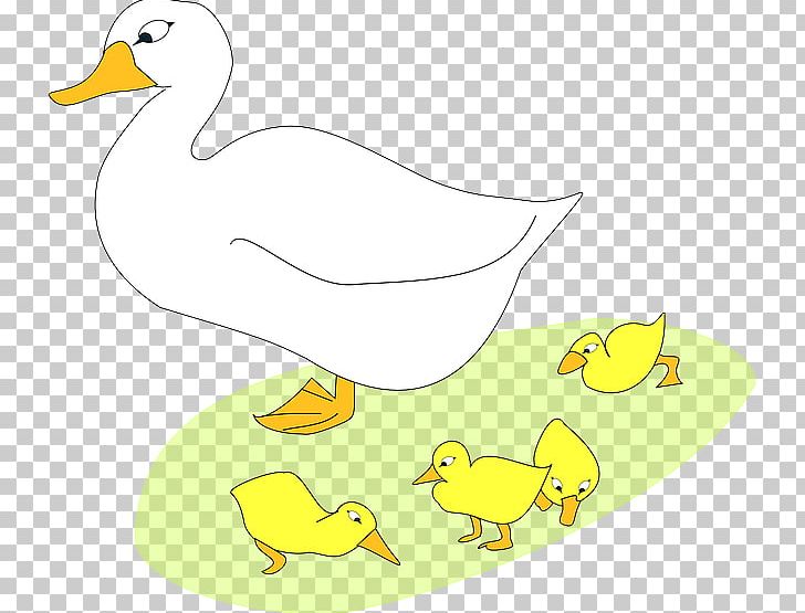 Domestic Goose Duck PNG, Clipart, Animals, Area, Art, Artwork, Background White Free PNG Download