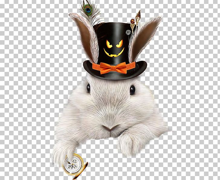 Domestic Rabbit European Rabbit Hat PNG, Clipart, Accessoire, Animals, Black, Black Hat, Centerblog Free PNG Download