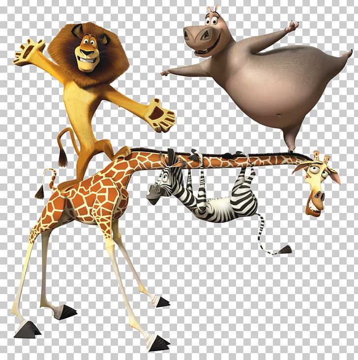 Gloria Alex Melman Marty Madagascar 3: The Video Game PNG, Clipart, Alex, Animation, Circus, Dreamworks Animation, Fauna Free PNG Download