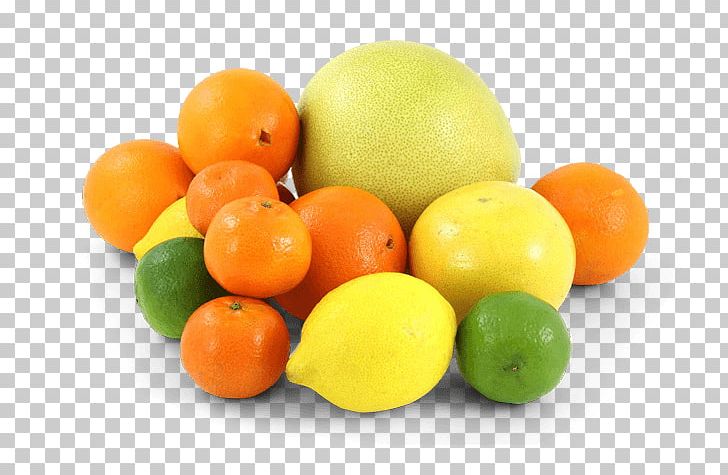 Lemon Juice Orange Citric Acid PNG, Clipart, Acid, Bitter Orange, Citric Acid, Citrus, Clementine Free PNG Download
