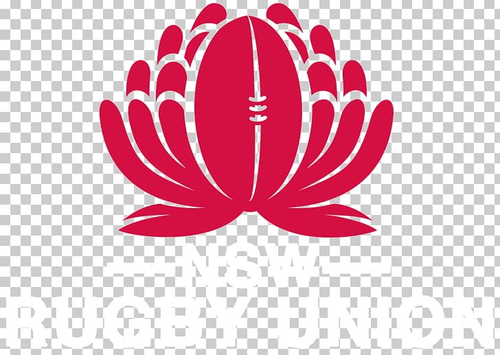 New South Wales Waratahs 2018 Super Rugby Season Queensland Reds Blues Australia National Rugby Union Team PNG, Clipart, 2018 Super Rugby Season, Crusader, Crusaders, Flower, Flowering Plant Free PNG Download