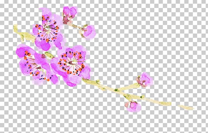 Plum Blossom Flower PNG, Clipart, Body Jewelry, Branch, Cherry Blossom, Designer, Download Free PNG Download