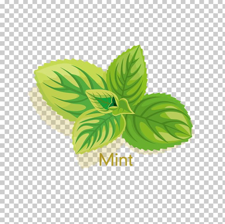 Cosmetics Peppermint Herb Icon PNG, Clipart, Aloe, Aloe Vera, App Store, Computer Icons, Cosmetics Free PNG Download