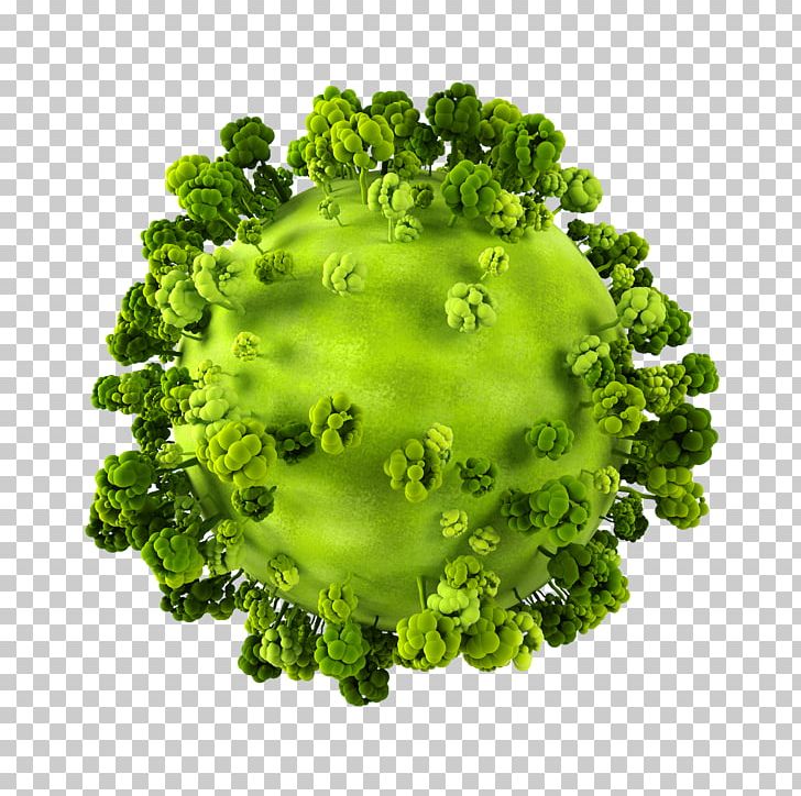 Tiny Planet Android Photography PNG, Clipart, Android, Broccoli, Depositphotos, Google Play, Green Free PNG Download