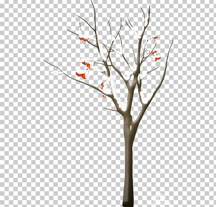 Tree PNG, Clipart, Agac, Branch, Computer Icons, Download, Drawing Free PNG Download