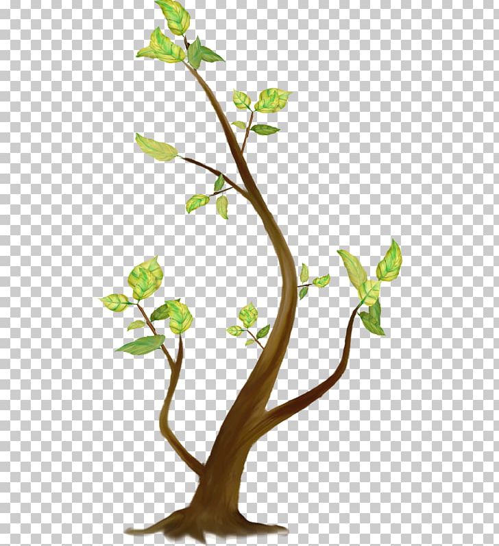 Tree Branch Coarse Woody Debris PNG, Clipart, Blog, Branch, Coarse Woody Debris, Flora, Flower Free PNG Download