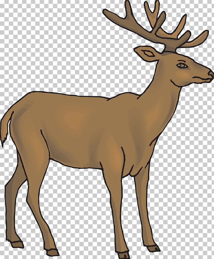 White-tailed Deer Antelope Line Art PNG, Clipart, Animals, Antler, Brown, Brown Background, Brown Rice Free PNG Download