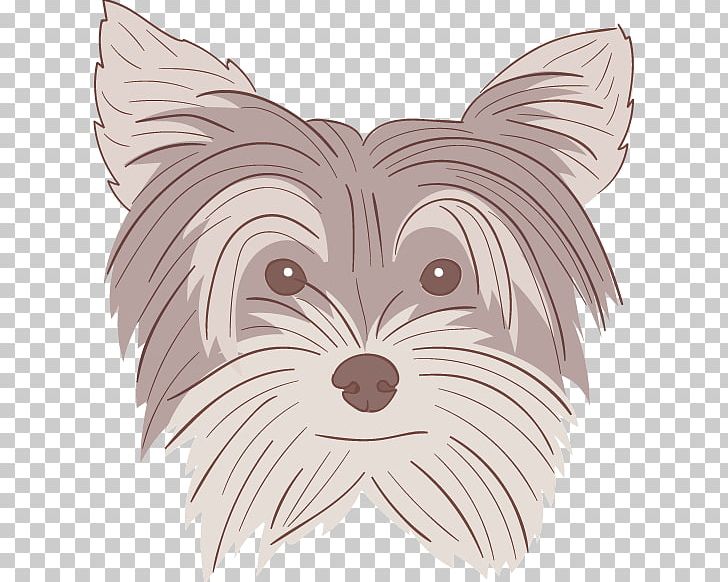 Yorkshire Terrier Cairn Terrier Pekingese Boxer Dog Breed PNG, Clipart, Abstract Pattern, Animals, Bearded, Boxer, Cair Free PNG Download