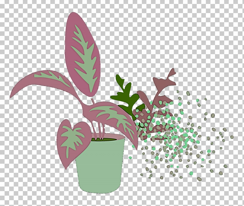 Plant PNG, Clipart, Biology, Branching, Flower, Green, Leaf Free PNG Download