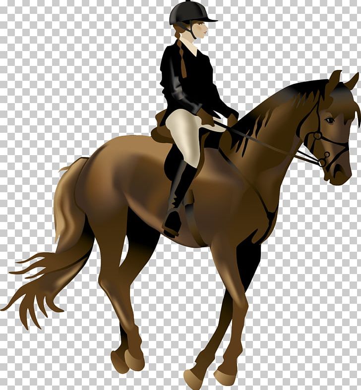 Horse Equestrianism Illustration PNG, Clipart, Animals, Child, Collection, Dressage, Encapsulated Postscript Free PNG Download