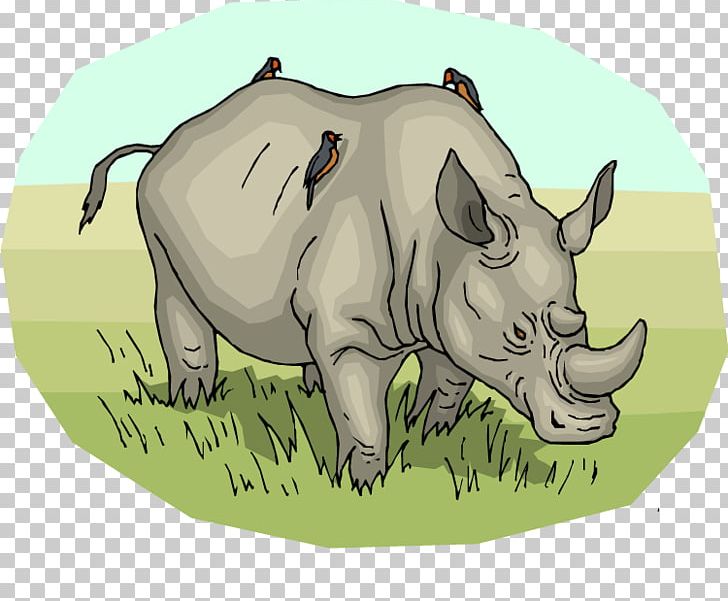 Northern White Rhinoceros Pig Horn PNG, Clipart, Animal, Black Rhinoceros, Cartoon, Fauna, Free Content Free PNG Download