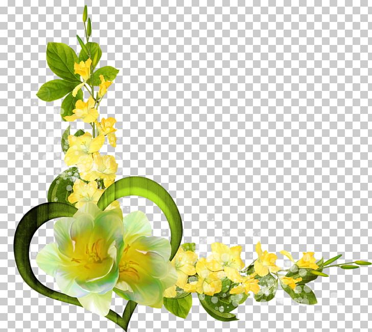 Photography PNG, Clipart, Blossom, Branch, Cut Flowers, Digital Image, Drawing Free PNG Download