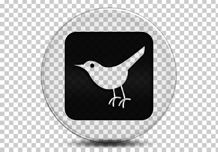 Social Media Beak Bird Twitter Social Network PNG, Clipart, Beak, Bird, Black And White, Internet, Media Free PNG Download