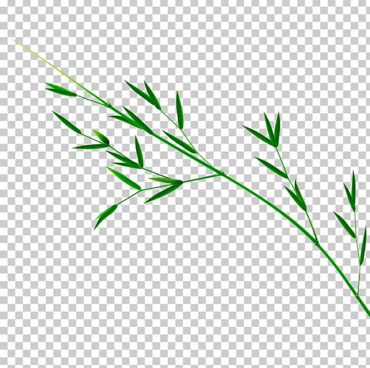 Bamboo Leaf Green PNG, Clipart, Bamboo, Bamboo Border, Bamboo Frame, Bamboo Leaf, Bamboo Leaves Free PNG Download