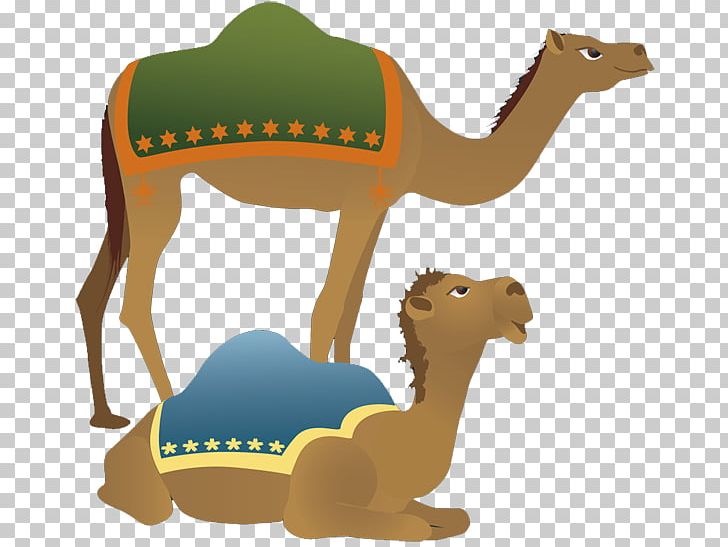 Camel Holy Family Nativity Scene Christmas PNG, Clipart, Arabian Camel, Biblical Magi, Camel, Camel Images, Camel Like Mammal Free PNG Download
