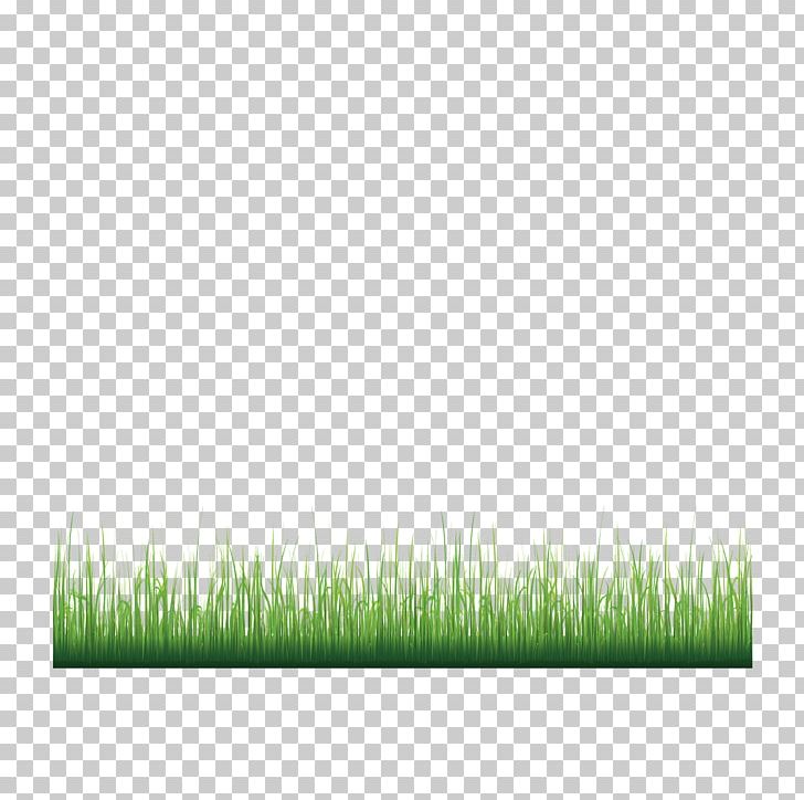 Green Landscape Display Resolution PNG, Clipart, Angle, Background Green, Christmas Decoration, Decorate The Border, Decoration Free PNG Download
