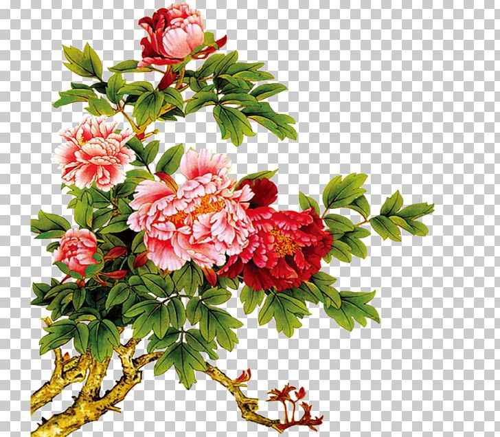 Moutan Peony PNG, Clipart, Annual Plant, Chrysanths, Computer Software, Cut Flowers, Digital Scrapbooking Free PNG Download