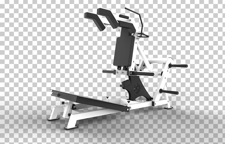 Squat Strength Training Fitness Centre CrossFit Bodybuilding PNG, Clipart, Bench, Bentover Row, Bodybuilding, Calf Raises, Crossfit Free PNG Download