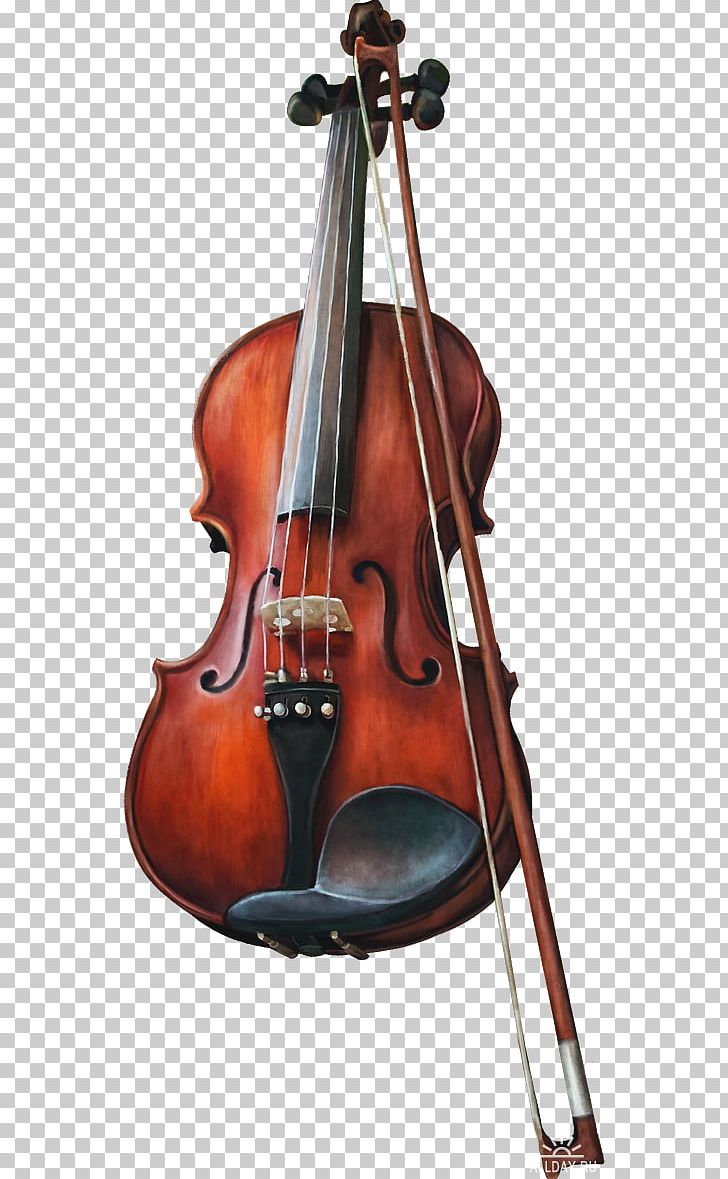 Violin Bow PNG, Clipart, Bass Violin, Bow, Bowed String Instrument, Cellist, Cello Free PNG Download