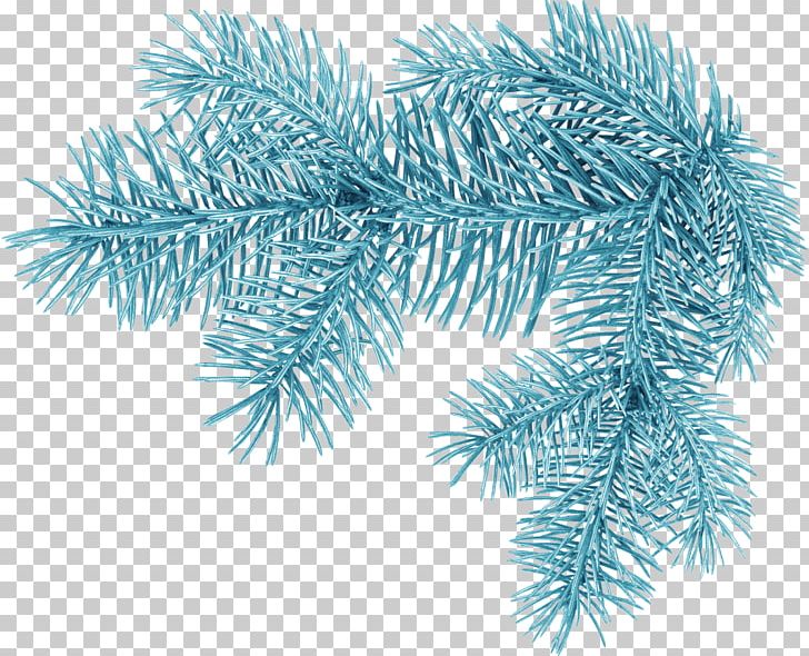 Christmas Tree Branch PNG, Clipart, Arecales, Branch, Christmas, Christmas Lights, Christmas Ornament Free PNG Download