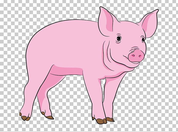 Domestic Pig PNG, Clipart, Animal, Animal Figure, Animal Welfare, Computer Icons, Domestic Pig Free PNG Download