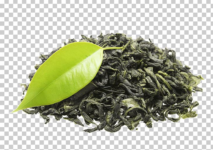 Green Tea Organic Food Organic India Black Tea PNG, Clipart, Assam Tea, Biluochun, Black Tea, Da Hong Pao, Dianhong Free PNG Download
