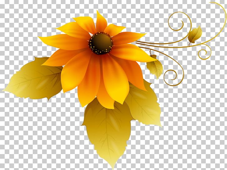 Vietnamese Women's Day Woman International Women's Day October 20 PNG, Clipart, Calendula, Daisy Family, Family, Flower, Flowering Plant Free PNG Download