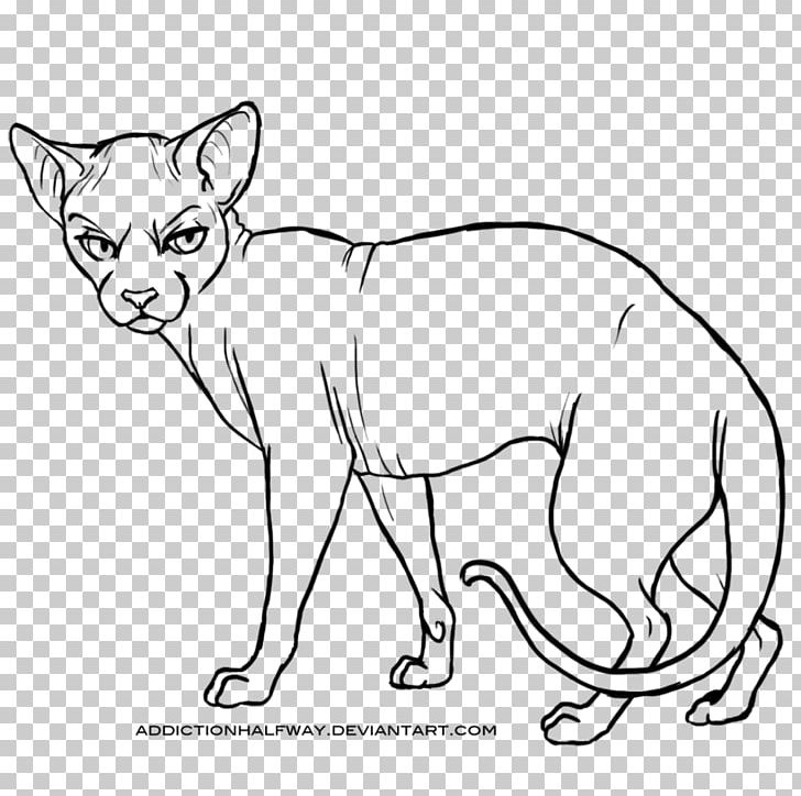 Whiskers Sphynx Cat Wildcat Line Art PNG, Clipart, Art, Artist, Artwork, Black, Carnivoran Free PNG Download