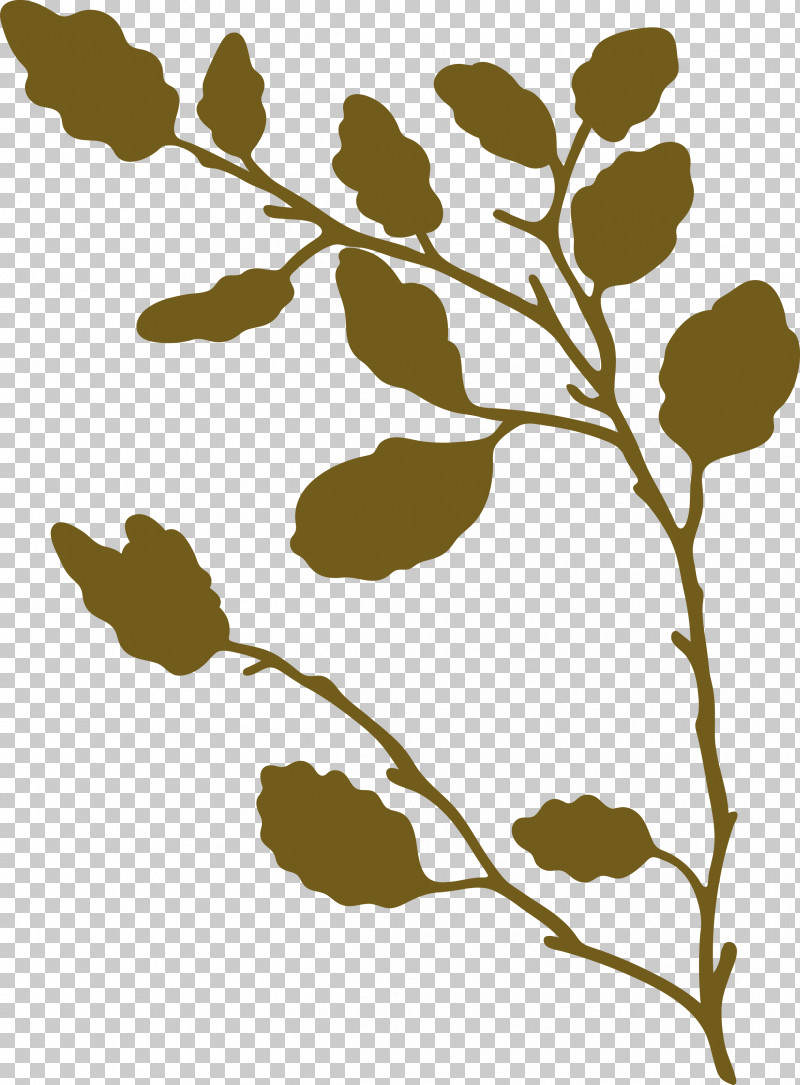 Twig Plant Stem Leaf Pattern Flower PNG, Clipart, Biology, Flower, Leaf, Plants, Plant Stem Free PNG Download
