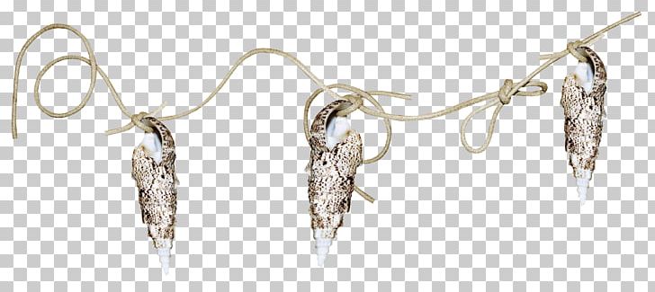 PhotoFiltre Freeware PNG, Clipart, Animation, Body Jewelry, Computer Software, Conch, Download Free PNG Download