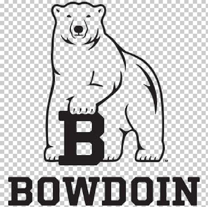 Bowdoin College Bowdoin Polar Bears Football Bowdoin Polar Bears Women's Basketball PNG, Clipart,  Free PNG Download