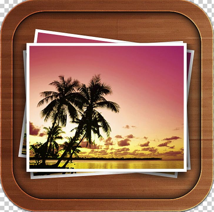 Desktop Sunset Beach Arecaceae Sunrise PNG, Clipart, Arecaceae, Beach, Computer, Desktop Wallpaper, Iphone Ipad Free PNG Download