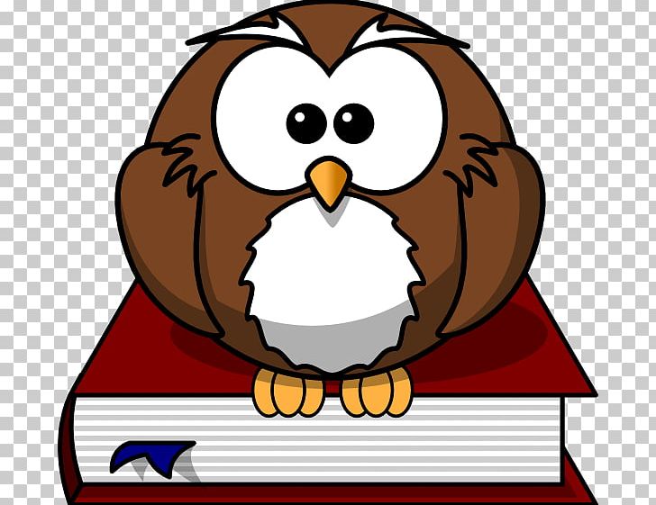 Owl Graphics Illustration PNG, Clipart, Animal, Animals, Animated Film, Artwork, Beak Free PNG Download