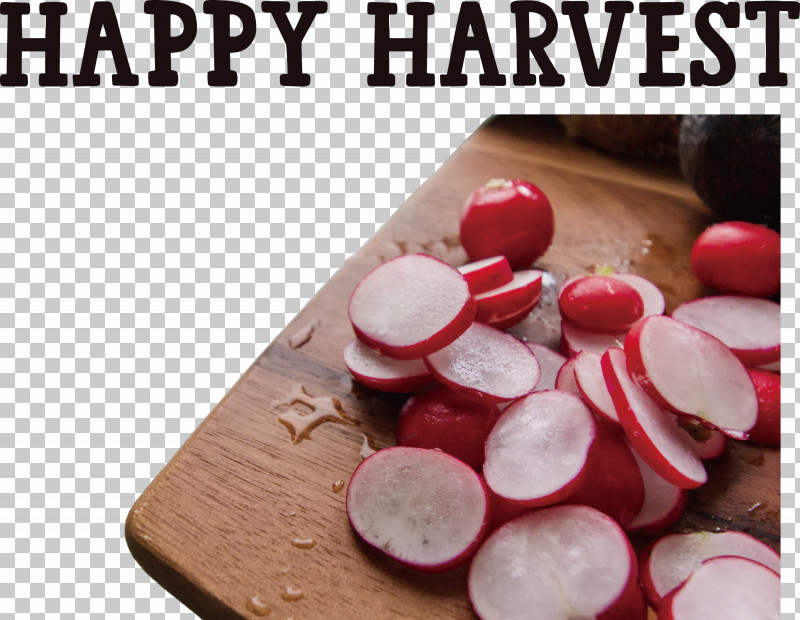 Happy Harvest Harvest Time PNG, Clipart, Carrot, Daikon, Dietary Fiber, Eating, Happy Harvest Free PNG Download