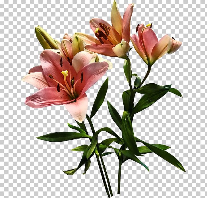 Cut Flowers Lily Of The Incas Floristry Flower Bouquet PNG, Clipart, Alstroemeriaceae, Cut Flowers, Floristry, Flower, Flower Bouquet Free PNG Download