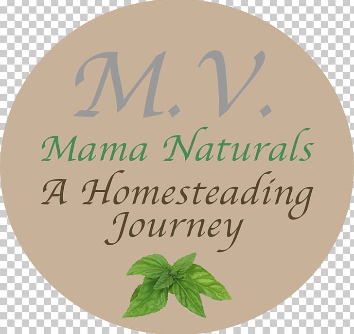 Leaf PNG, Clipart, Cooking Mama, Leaf Free PNG Download