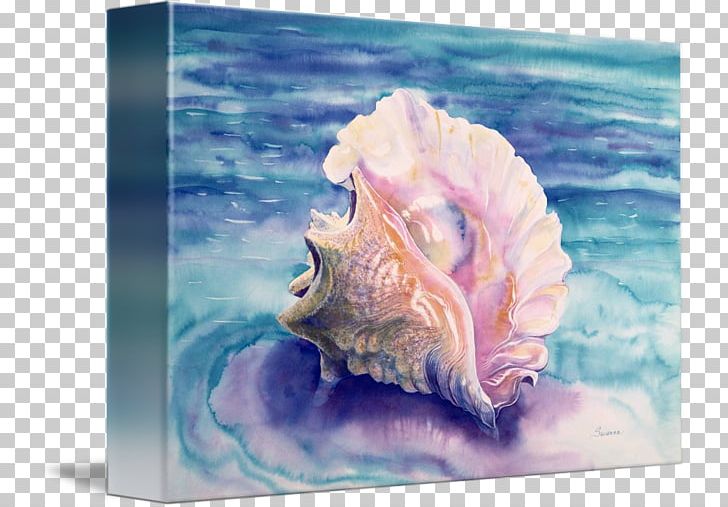 Caribbean Sea Lobatus Gigas Seashell Conch Watercolor Painting PNG, Clipart, Caribbean Sea, Conch, Cook, Gastropods, Lobatus Gigas Free PNG Download