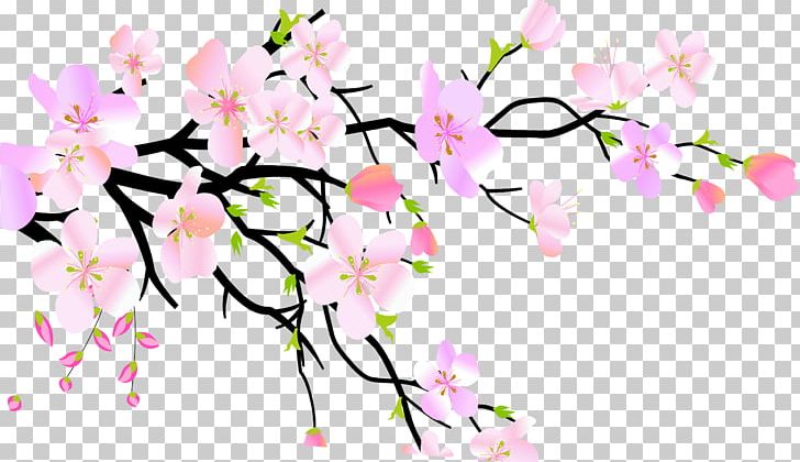 Plum Blossom Peach PNG, Clipart, Branch, Computer Wallpaper, Flower, Flower Arranging, Flowers Free PNG Download