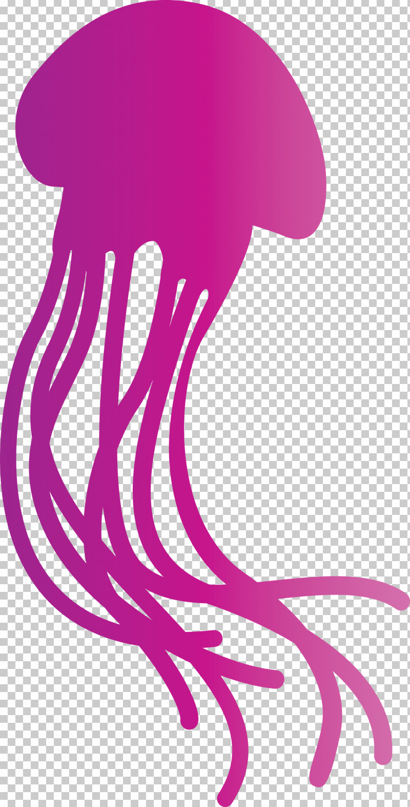 Jellyfish PNG, Clipart, Biology, Cartoon, Geometry, Jellyfish, Line Free PNG Download
